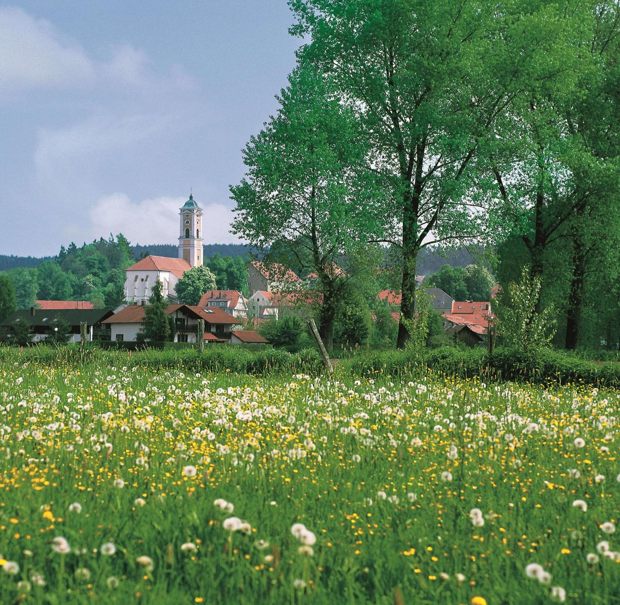 Best Western Aparthotel Birnbachhoehe Bad Birnbach Esterno foto